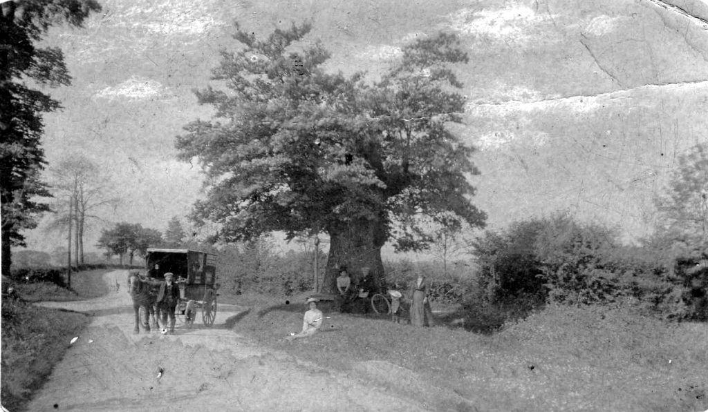 A close up of a horse drawn carriage traveling down a dirt road