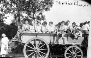 A man riding a horse drawn carriage