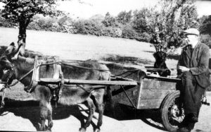 A man riding a horse drawn carriage