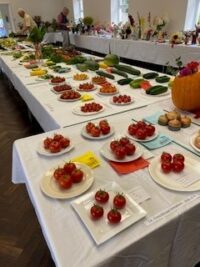 A table full of food