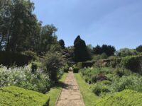 A large tree in a garden