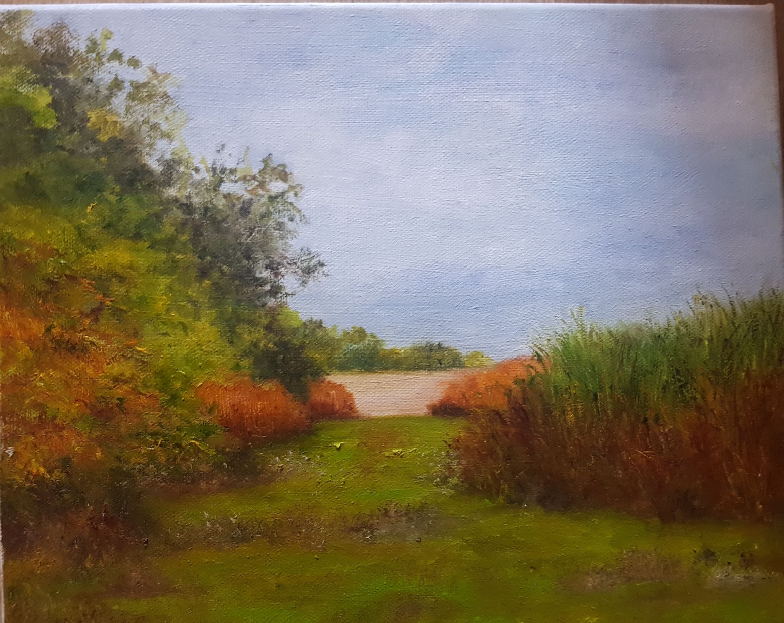 A body of water with grass and trees