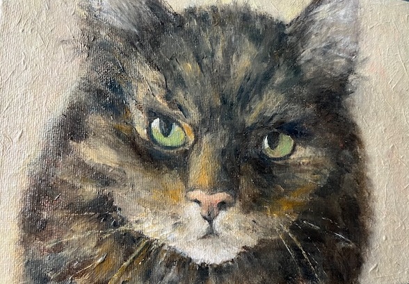 A cat that is looking at the camera