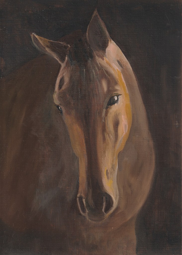 A close up of a horse