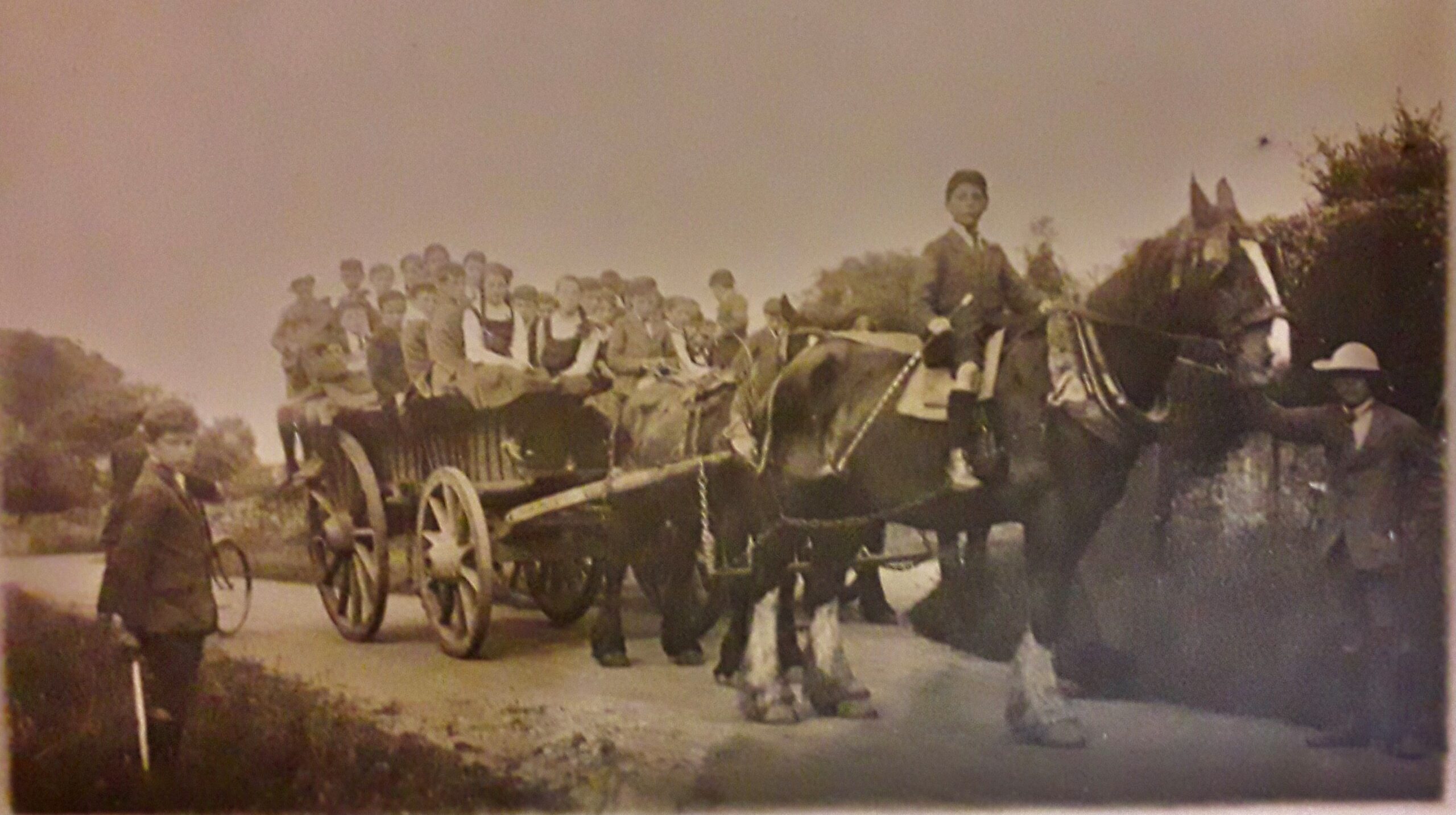 A group of people riding on the back of a horse drawn carriage