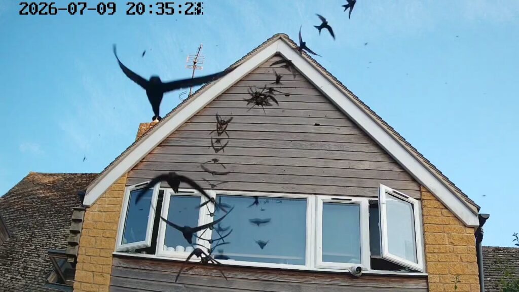 A house that has a sign on the side of a building